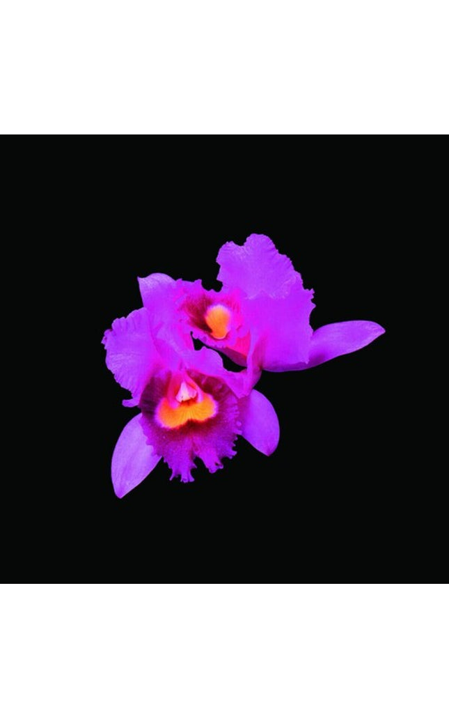 Opeth - Orchid - Music CD