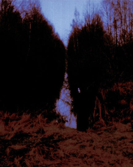Opeth - My Arms Your Hearse (Can) [CD]