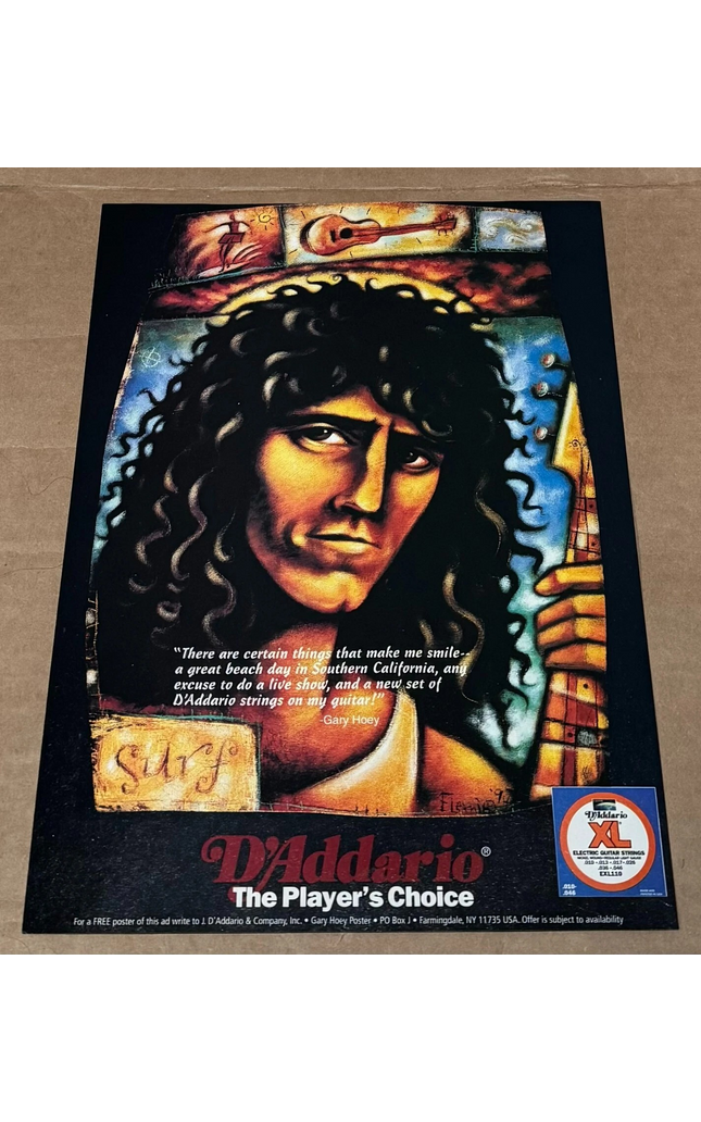 D'Addario Strings - GARY HOEY - 1995 Print Advertisement