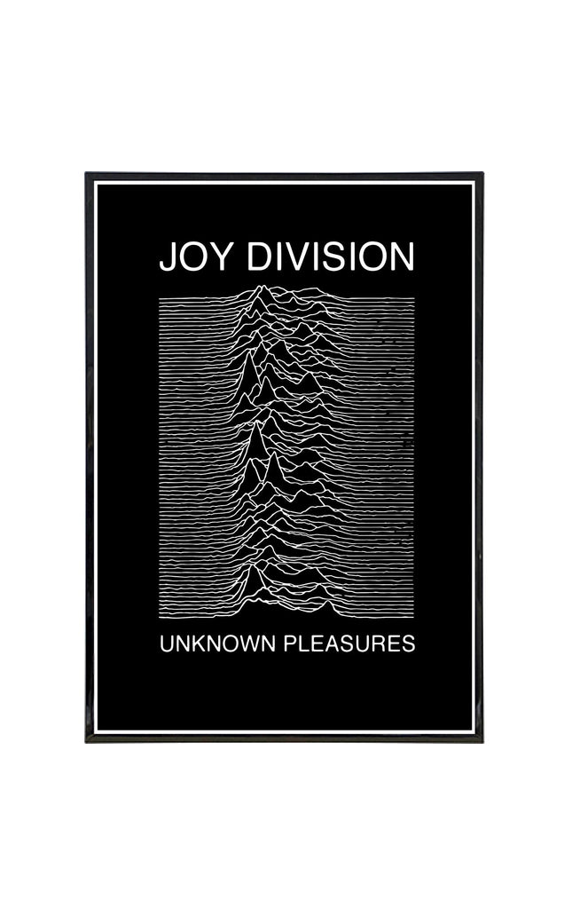 Joy Division Show Poster Print