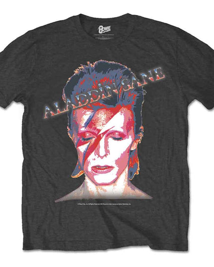 David Bowie Aladdin Sane [T-Shirt]