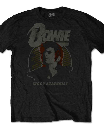 David Bowie Vintage Ziggy [T-Shirt]