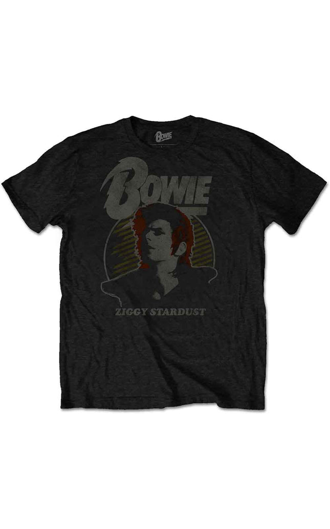 David Bowie Vintage Ziggy [T-Shirt]