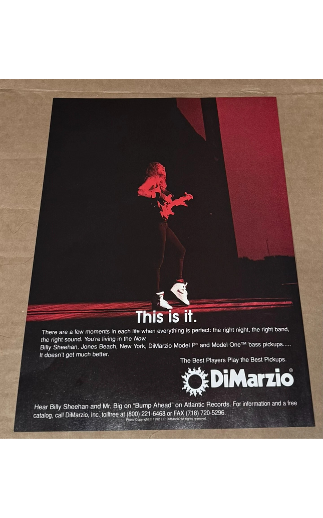 DiMarzio Pickups - BILLY SHEEHAN - 1993 Print Advertisement