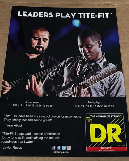ANIMALS AS LEADERS - REYES & ABASI - DR STRINGS - 2012 Print Advertisement