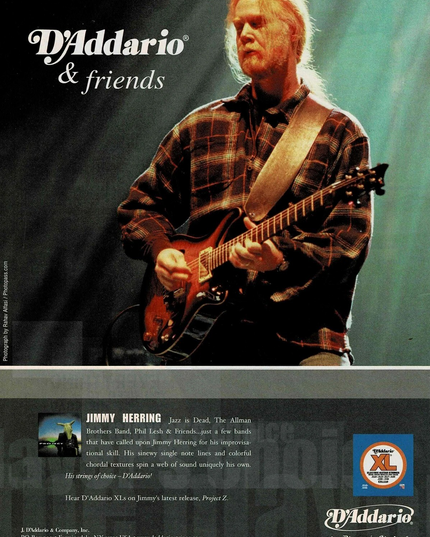 JIMMY HERRING - D'Addario Strings - 2003 Print Advertisement